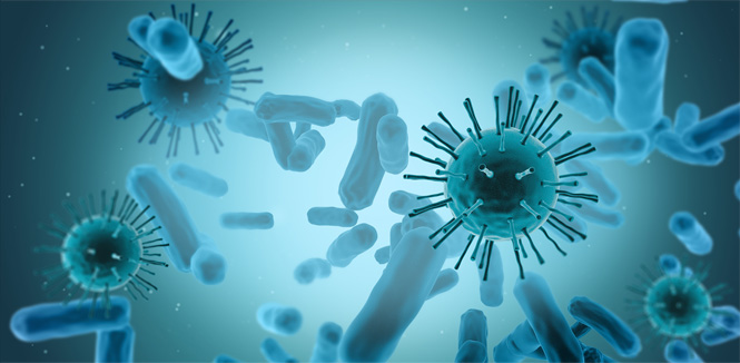 工業(yè)化臨床級的載體生產(chǎn)平臺 