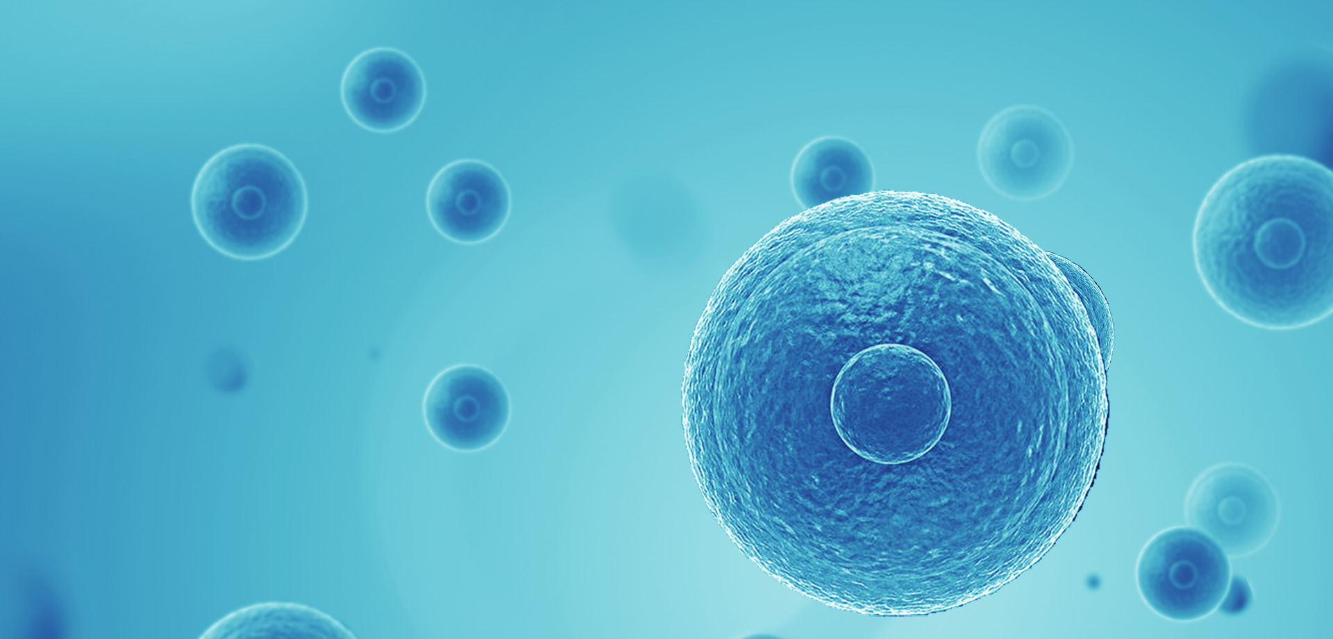 以患者需求為核心，驅(qū)動(dòng)細(xì)胞免疫治療創(chuàng)新，實(shí)現(xiàn)癌癥可控化并最終治愈。