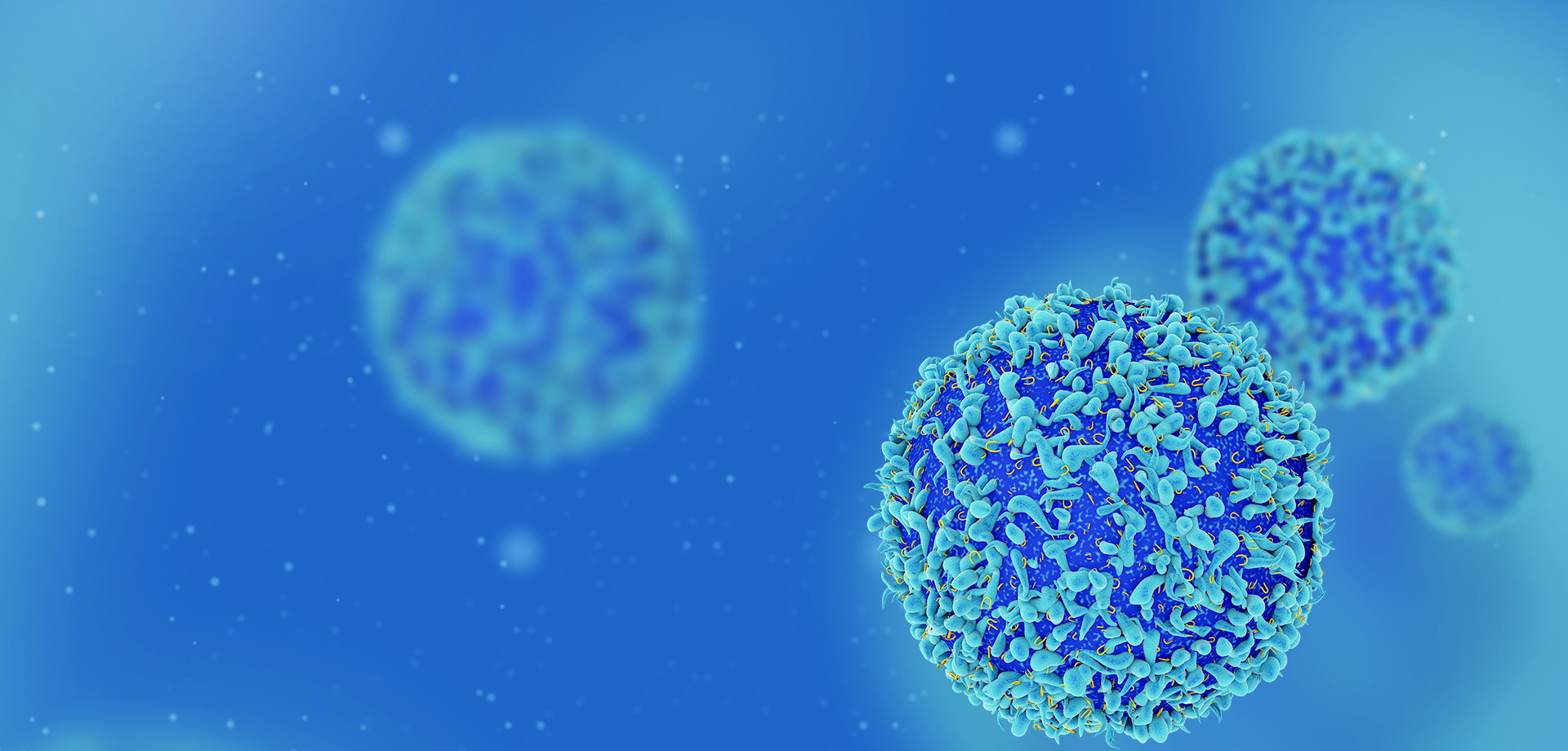 成為全球細(xì)胞免疫治療領(lǐng)域的領(lǐng)導(dǎo)者之一。